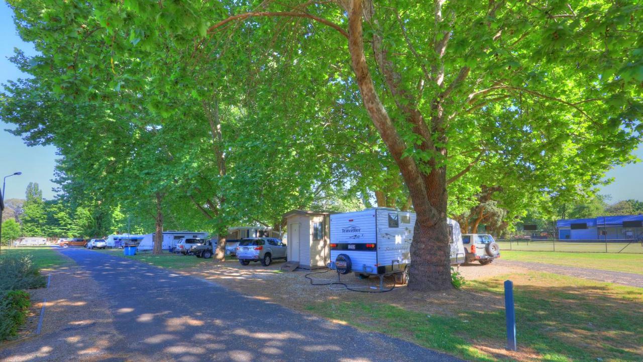 Myrtleford Holiday Park Exteriör bild